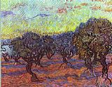 Vincent van Gogh Olive grove